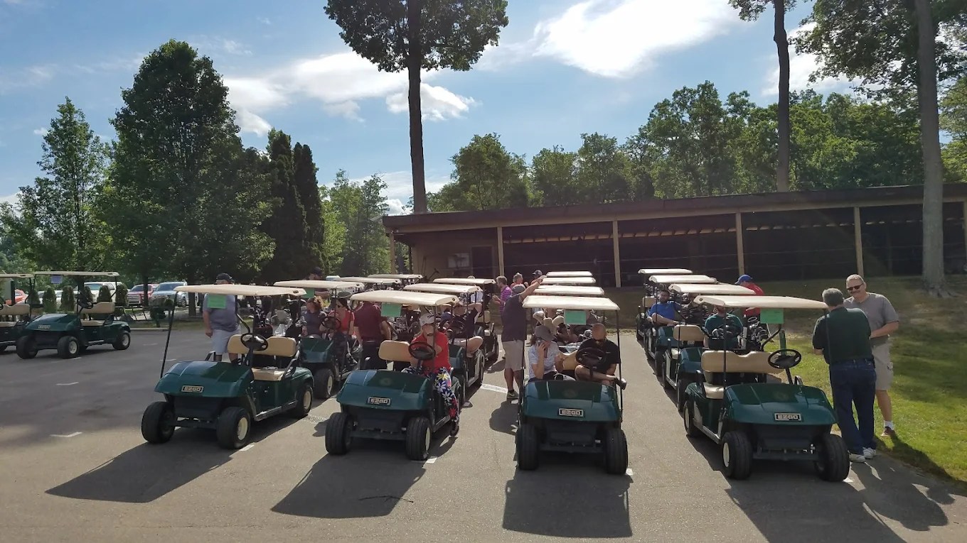 Rows of golf carts